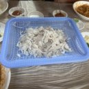 비다어학원