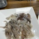 신일초교.백제당약국 | 시흥물회 해산물 맛집 신천동맛집 발해수산