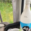 푸른솔GC | 🌕 추석명절 친정식구들과 푸른솔GC 포천 라운딩 후기 ⛳🌧️