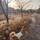 유림-1063 이미지