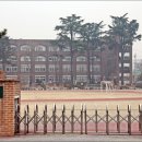 선화초교 Daum카페