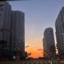 당리오뎅바 | 1주차 : 2025년 8월(2)