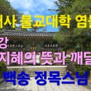범어사 불교대학 염불선 제 57강 지혜의 뜻과 깨달음 이미지