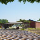 게이트볼장 맞은편 이미지