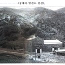 전기통천 이미지