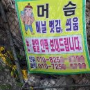 머슴인력 이미지
