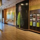 물맑음수목원 목재문화체험장 이미지