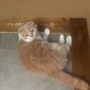 신달하우스 이미지