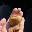 와촌(포항) 이미지