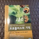 2003년 초판발행 2011년 13쇄발행 "프로폴리스의 기적" 이미지