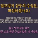 탈모 방지 샴푸 최초 황금,감초한방주성분함유,려자양윤모 이벤트 이미지