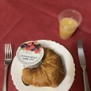 한국염소연구소 | <서유럽패키지여행 4일차 : 피렌체> 이탈리아/스위스/프랑스 3개국 8박 10일