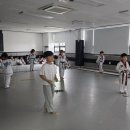 노은태권도 이미지