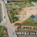 강화땅공인중개사사무소 | 강화읍 대산리 토지 매매｜버스길 접한 계획관리지역, 약 200평 분할 가능