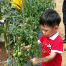 준희농장 이미지