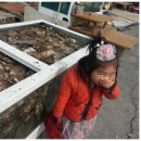 섬진강 망덕포구 이미지