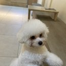 민데이짐 이미지