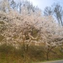 신청평주유소 이미지