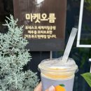 (주)계림식품농업회사법인 | 제주 기념품 선물 추천 | 마켓 오름 | 직접 기른 애플망고 망고주스 수제잼 수제청