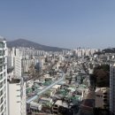 오산자이공인중개사사무소 | 연산자이아파트 공인중개사 매물 투어 후기