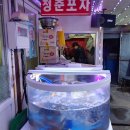 추적60병 이미지