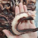 건양건어물