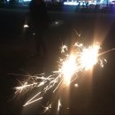 강남활어회센타 이미지