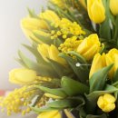 트윈 결혼정보 이미지