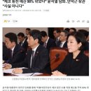 윤석열의 계엄 거짓말(체코 원전) 이미지