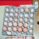 종만농장 이미지