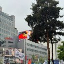 을지로입구역 롯데백화점 본점 상품권데스크 지류 롯데상품권 수령후기, 가정의달 프로모션