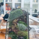 광양하이텍고등학교 | [광양고등학교 수업 후기] ‘찾아가는 테라리움 클래스&#39; 단체 원데이 체험