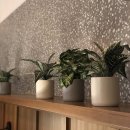 그림책 읽어주는 동물병원 이미지