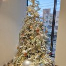 구암동163 | “한 잔의 여유, 감성 한 스푼🍃 대전 모닝트리 카페 솔직 후기”