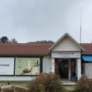 (주)대관령식품 | 대관령 삼양라운드힐 안개길로 덮인 산책코스 길 안내 기프트샵 쇼핑 & 유기농 밀크 아이스크림까지...