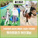 서부산승마랜드 | 렛츠런파크 부산 경남 에코랜드 포니랜드 더비랜드 놀거리가 다양한 봄나들이 갈만한 곳