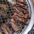 이레싱싱야채