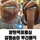 양원역미용실 설렘송이 뿌리매직 솔직후기
