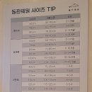 돌핀웨일대구노리터 이미지