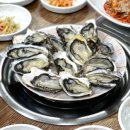 통영사랑호스텔 | 통영에서 느끼는 신선한 굴의 향연, 동피랑 굴촌