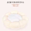 산타펫 - 2280 | 산타펫