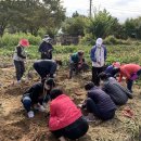 덕양구보건소치매안심센터 이미지