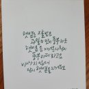워쉬보이크리닝 이미지