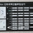 앵글드(ANGLED)