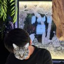 석산복어식당 이미지