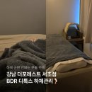 포레스트에스테틱 | 강남 피부관리 더포레스트 서초점 | 서초 강남 에스테틱 BDR디톡스 하체관리 후기