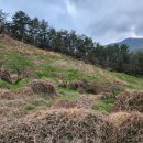 세동농장 이미지