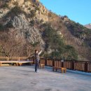 행정사 차종석 이미지