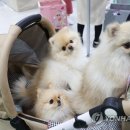 주식회사 씨앤비 이미지