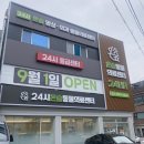 서울동물병원 | 서울 고양이 신부전 동물병원 후기 | 13살 노묘 | 24시온숲